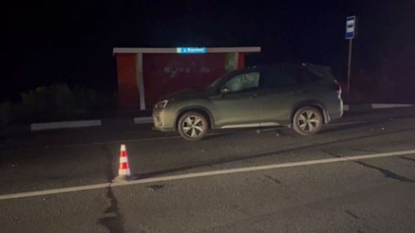 70-летняя женщина погибла под колесами иномарки в Городецком округе